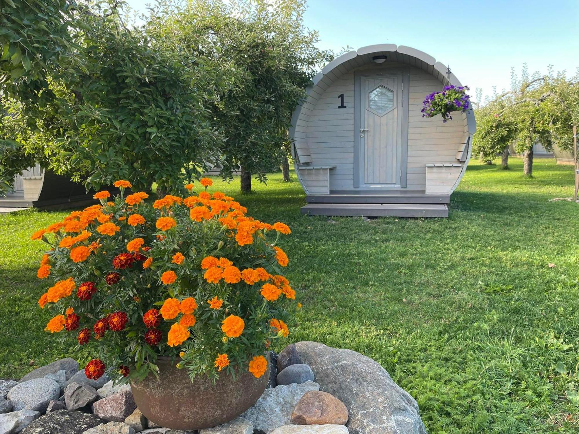 Vetsi Talli Holiday Village Kassari Экстерьер фото